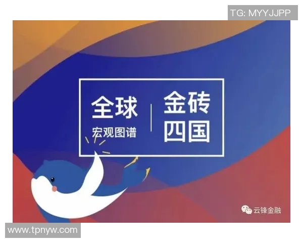 东南亚运动会全景观察:东道主筹备与各国夺金策略的深度剖析